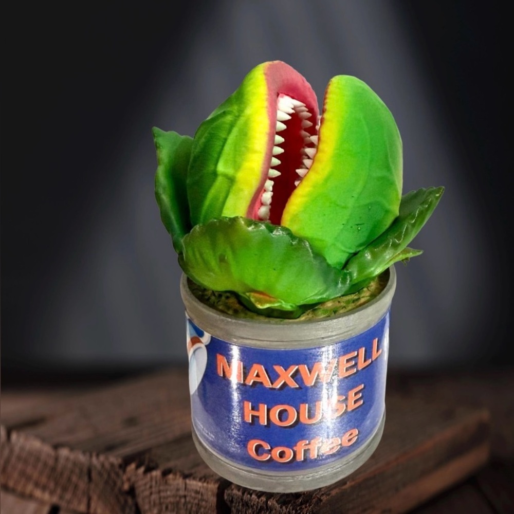 Green and Pink Carnivorous Plant Decor